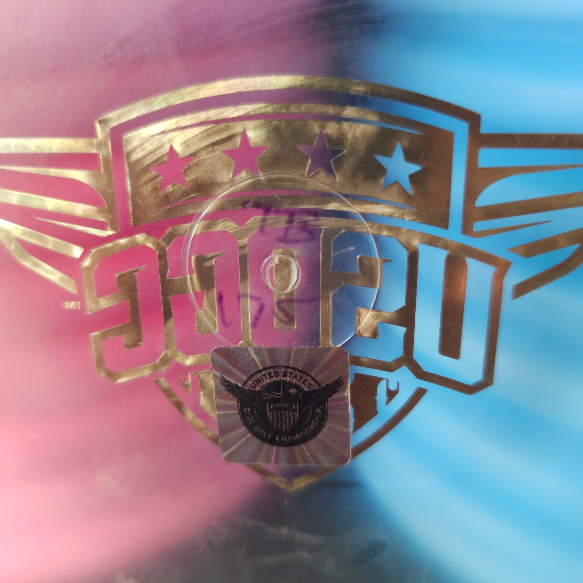 USDGC Innova Penned TB Champion Teebird 175g 8/10