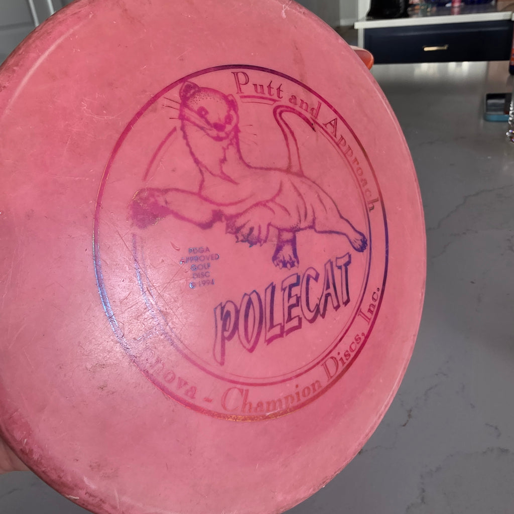 Circle stamped PFN Penned Innova Dx Polecat 174g ink 6/10