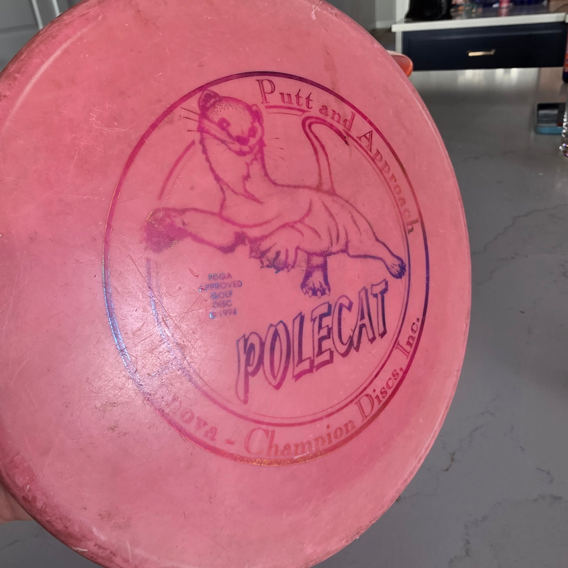 Circle stamped PFN Penned Innova Dx Polecat 174g ink 6/10