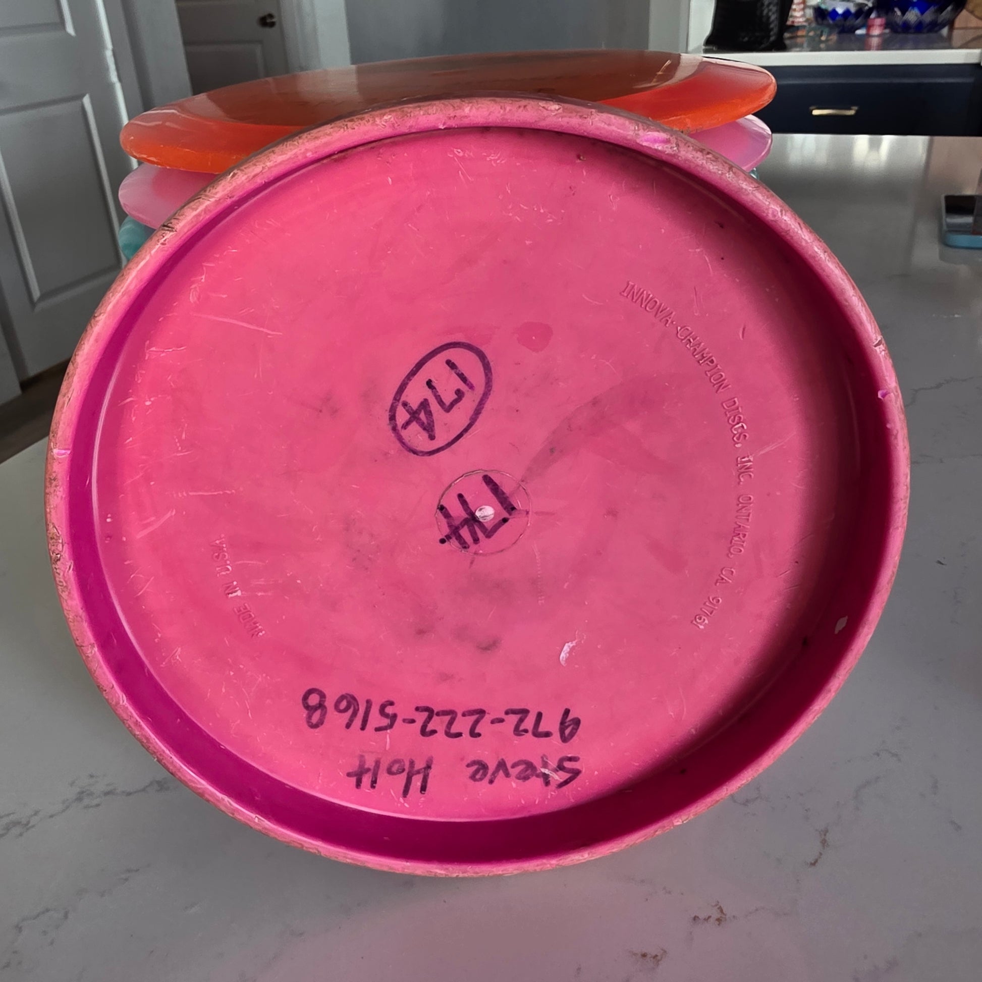 Circle stamped PFN Penned Innova Dx Polecat 174g ink 6/10